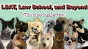 LSAT, Law School, and Beyond banner