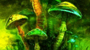 Psychological Dysfunctions 18+ banner