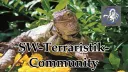 Terraristik-Kleinanzeigen banner