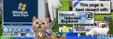 banner