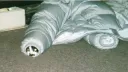 Eindeutig Nicht Vanilles Discord banner