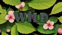WILD banner