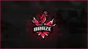 Just a few memories banner