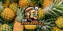 The Fruit Faction Banner