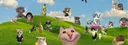 banner