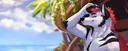 banner