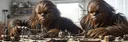 WookieeBot#9805 banner