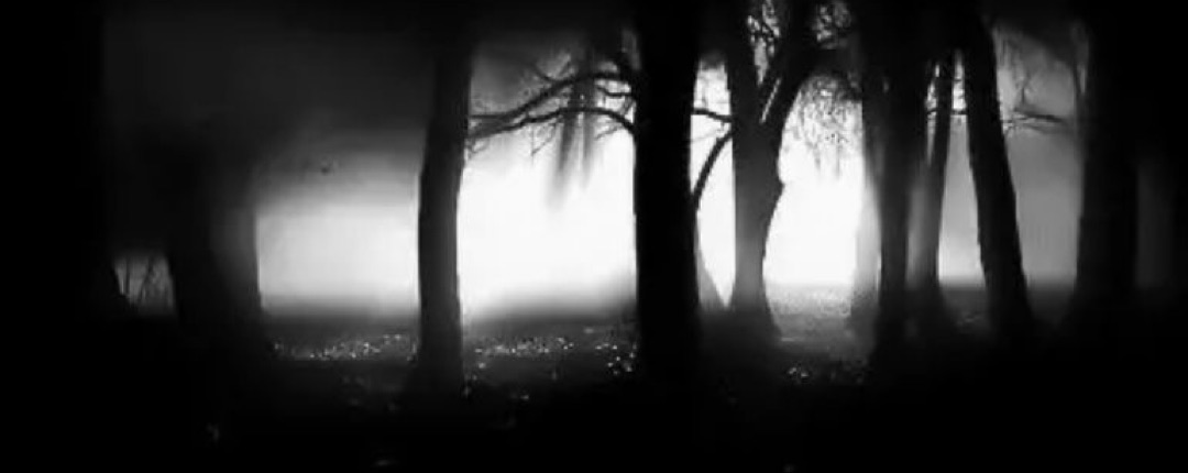 izz. Banner