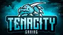 Tenacity Gaming | Network banner