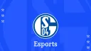 S04 Esports banner