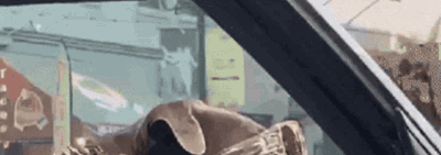 Max Verstappen Banner