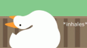 Goosey Club banner