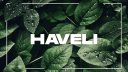 Haveli banner