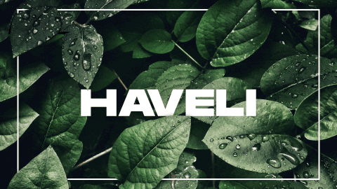 Haveli banner