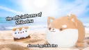 𝙎𝙈𝙀𝙍𝙄𝘾𝘼 ꜰʀɪᴇɴᴅ ᴀʀᴄ .gg/shibainu banner