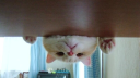 Wholesome Memes! Discord server banner