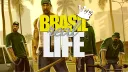 BRASIL REAL LIFE - PRINCIPAL banner