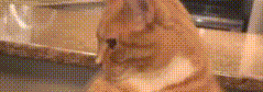 SplatTyp76 Banner