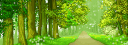 banner