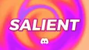 Salient Co. banner