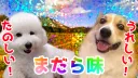 まだら味 banner