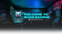 BKCG GAMINGYT banner