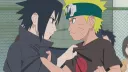 SHZ banner