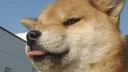 discord.style banner
