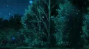 Tkodv’s Hub Discord server banner