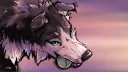 Dirty Dogs banner