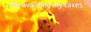 banner