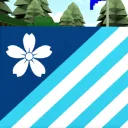Blue Arrows banner