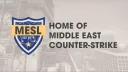 Middle East Stars League banner