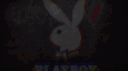 Playboy server banner