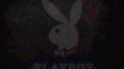 Playboy server banner