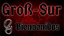 Groß-Sur banner