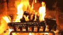 The Unified Stefan Zone banner