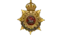 |29th| Regiment of Foot banner