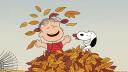 Peanuts Banner