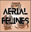 The Aerial Felines banner