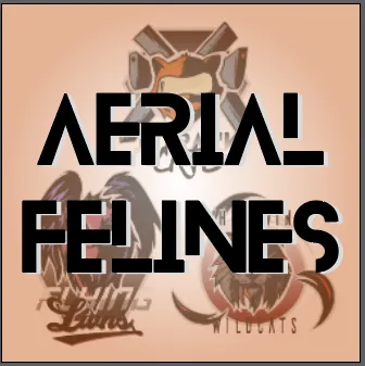 The Aerial Felines banner