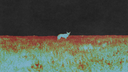 Friday Pilots Club Discord server banner