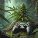 Black Flag Cannabishes 18+ Banner