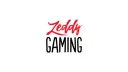 Zeddy Gaming banner