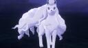 Ninetales' Paradise Banner