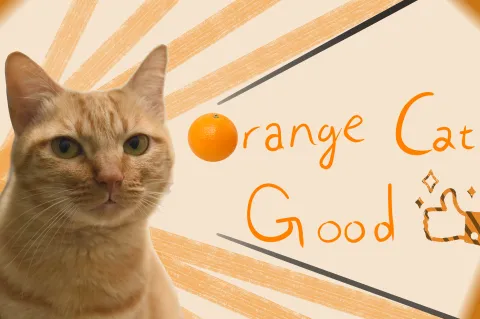 Orange Cat Good banner