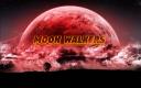 Moon Walkers Gaming Banner