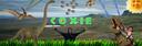 Coxie Banner