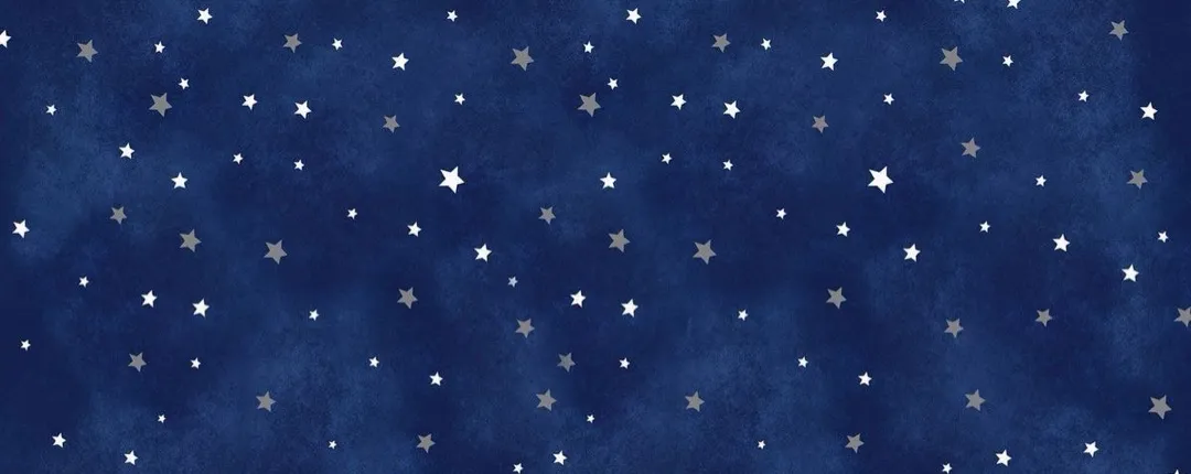 will ⋅˚₊‧ ଳ⋆.'s profile banner