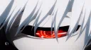 Kagune | Hub & Services Discord server banner